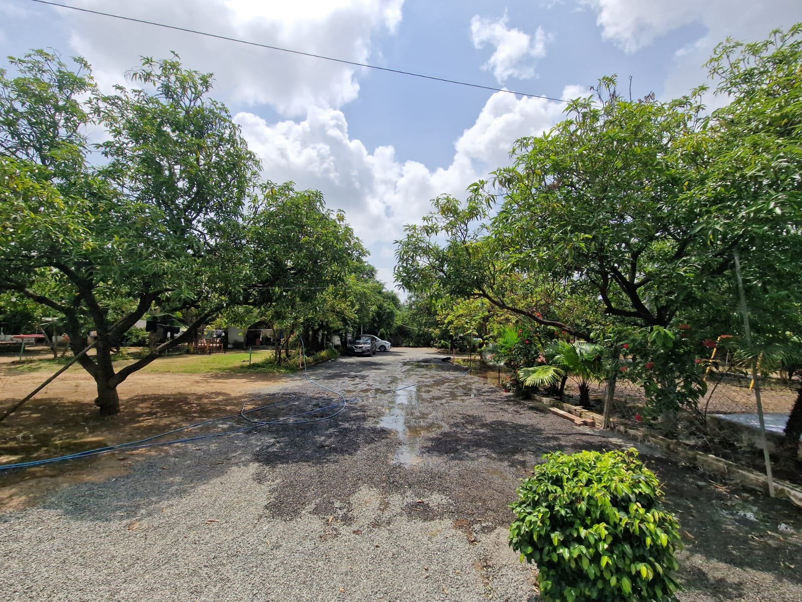 GIR SOMNATH FARM HOUSE- HOME STAY