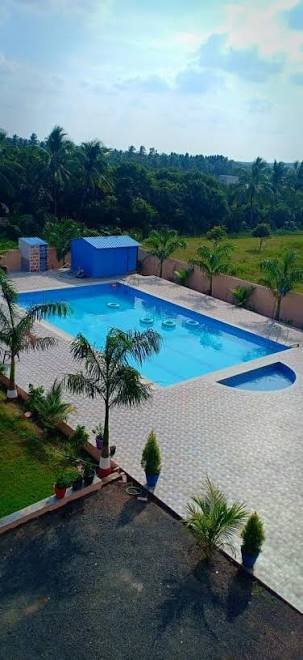 Wild Wood Resort